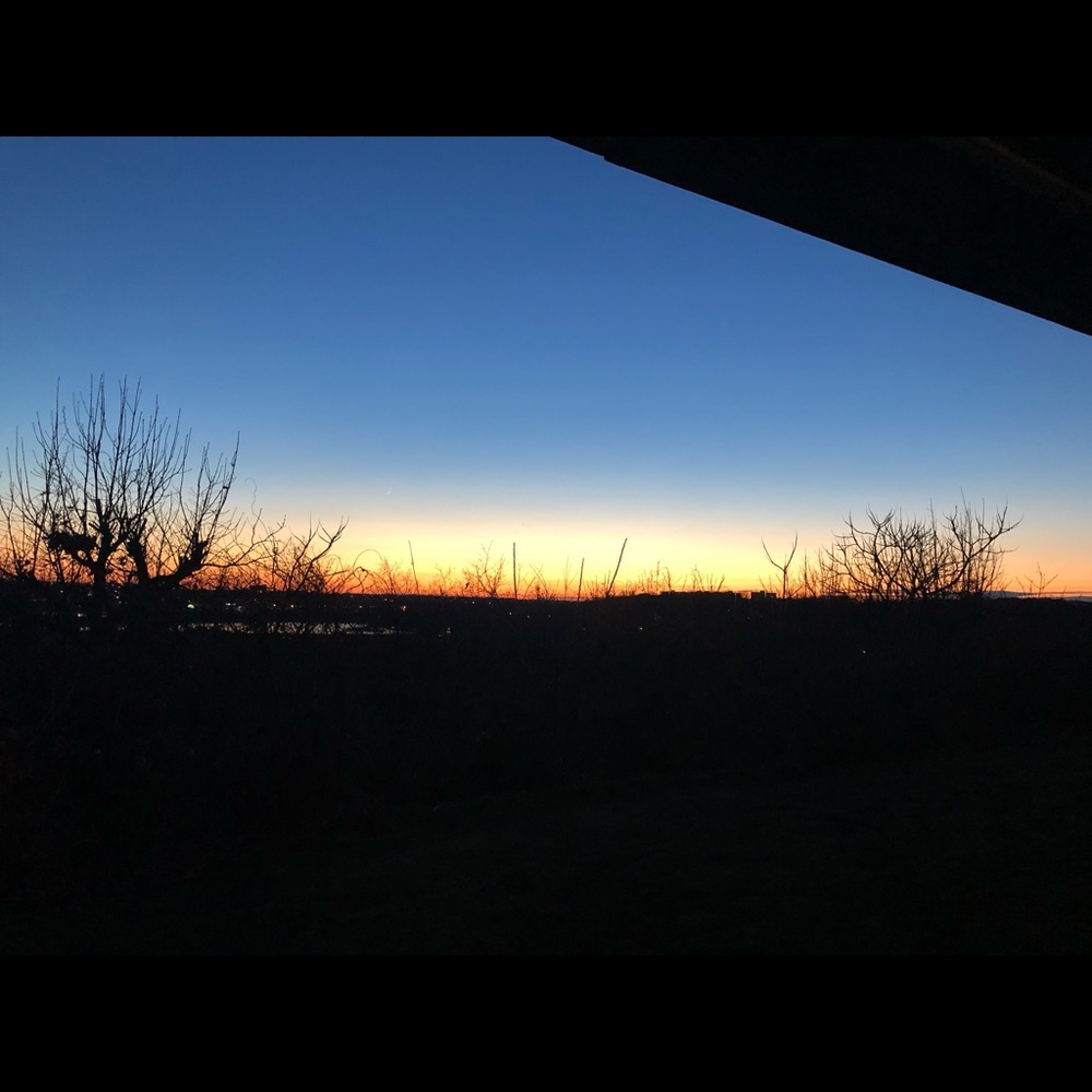 Meet your Posher, Ava